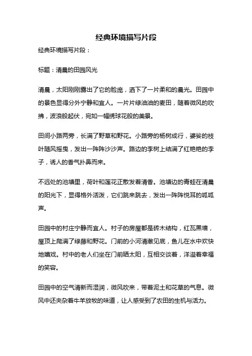 经典环境描写片段