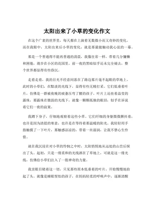 太阳出来了小草的变化作文