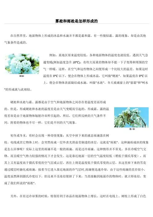 雾凇和雨凇是怎样形成的