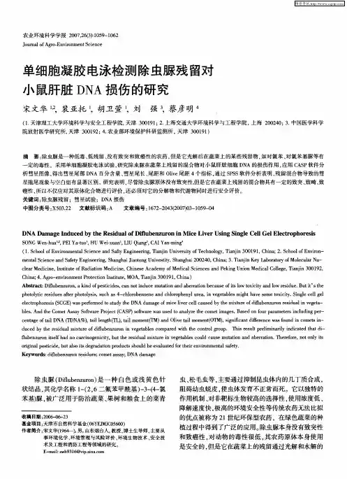 单细胞凝胶电泳检测除虫脲残留对小鼠肝脏DNA损伤的研究