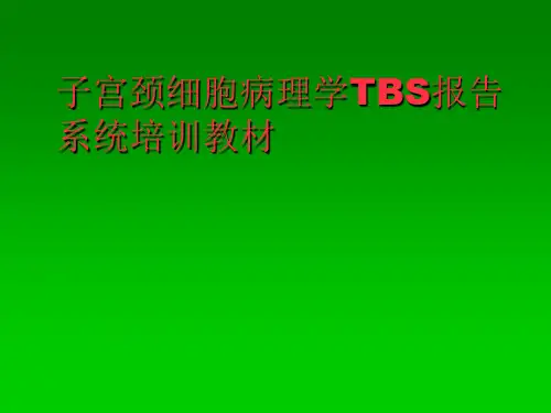 子宫颈细胞学TBS