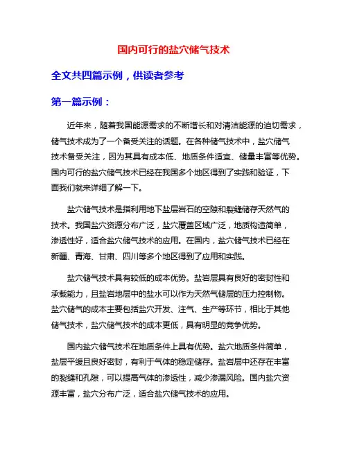 国内可行的盐穴储气技术