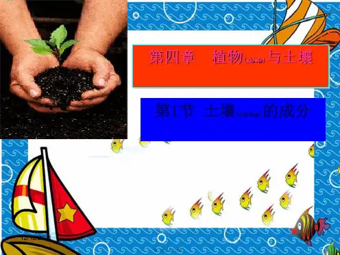 七年级科学下册 4.1《土壤的组成和性状》课件2