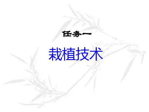 果树栽植技术ppt课件