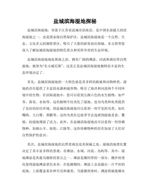 盐城滨海湿地探秘