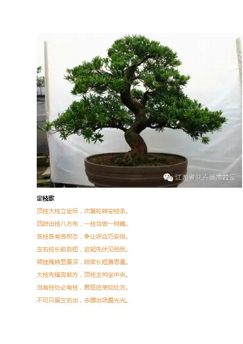 树木盆景实用技艺,实用技法摘录一