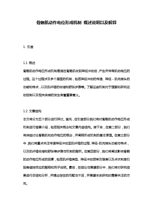 骨骼肌动作电位形成机制_概述说明以及解释