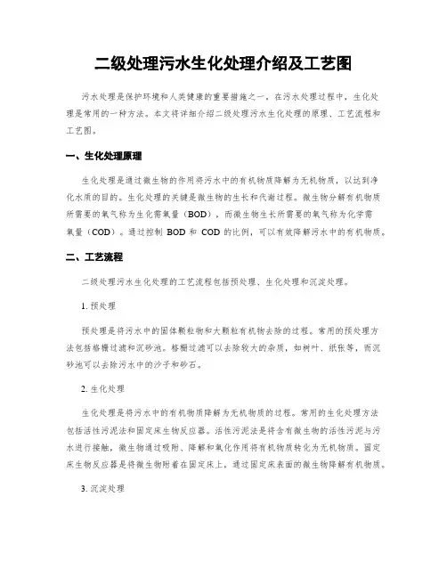 二级处理污水生化处理介绍及工艺图