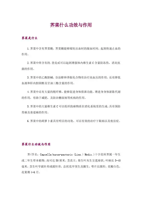 荠菜什么功效与作用