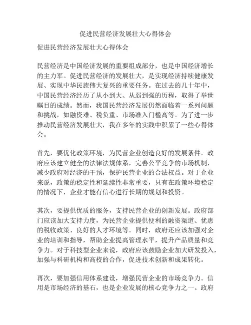 促进民营经济发展壮大心得体会