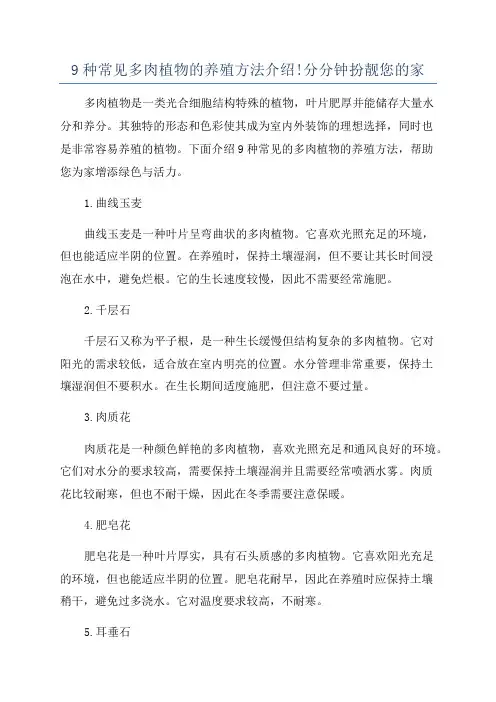 9种常见多肉植物的养殖方法介绍!分分钟扮靓您的家