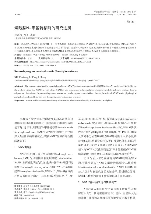 烟酰胺N-甲基转移酶的研究进展