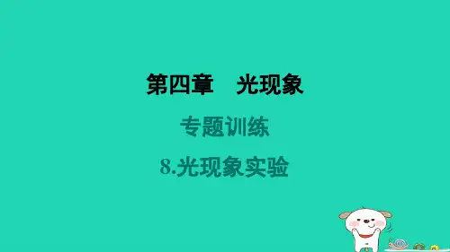 山西省2024八年级物理上册第四章光现象专题训练8.光现象实验课件新版新人教版