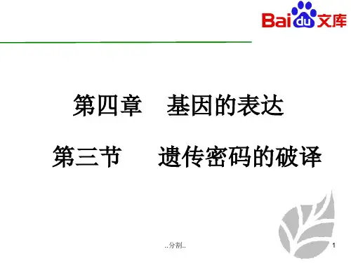 遗传密码的破译课件-生物高二必修二第四章第三节人教版演示文档.ppt