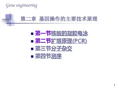 第二章基因操作的主要技术原理2