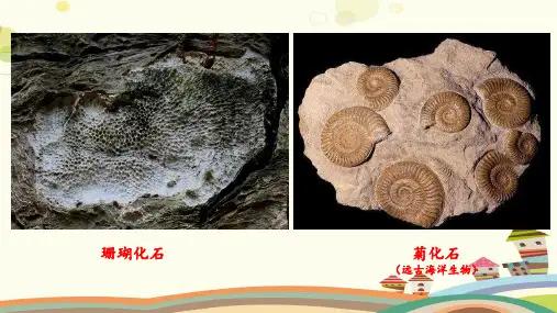 初中地理人教课标版七年级上册第二章 陆地和海洋 第二节_海陆变迁PPT