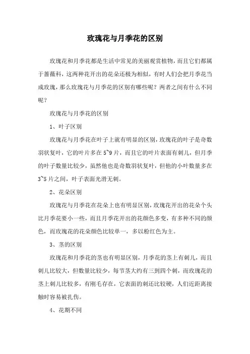 玫瑰花与月季花的区别