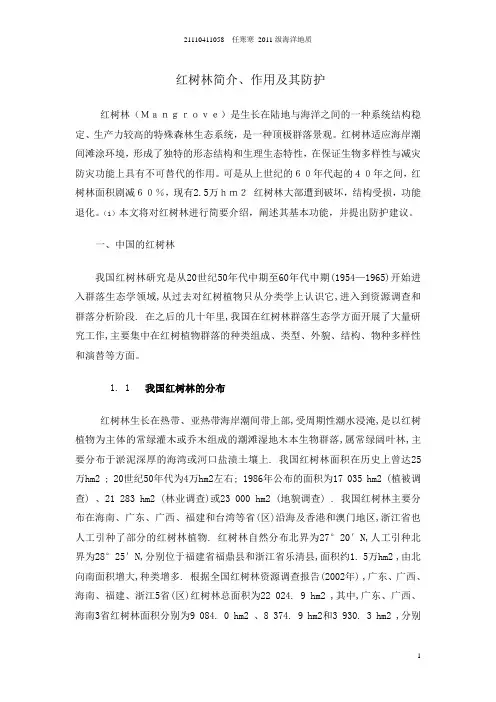 红树林