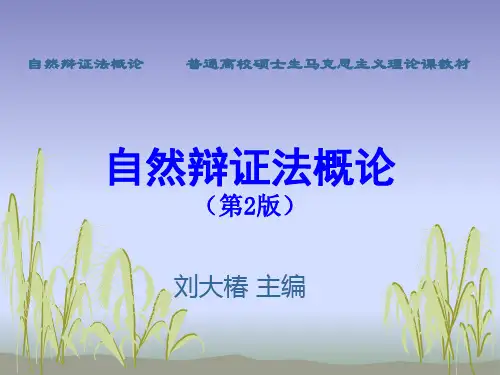自然辩证法概论第十章 技术发展的动力与模式