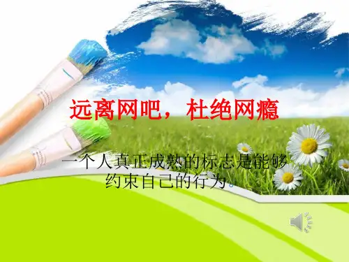 《网瘾危害主题班会》PPT课件-18页PPT资料