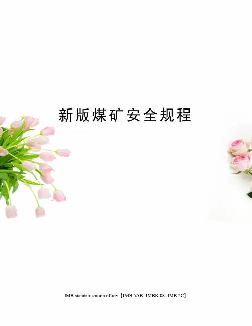 新版煤矿安全规程