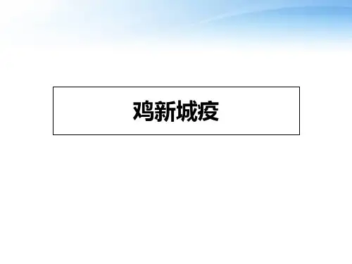 呼吸系统疾病--鸡新城疫  ppt课件