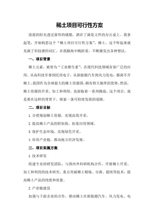 稀土项目可行性方案