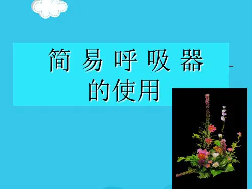 简易呼吸器(实用资料)ppt