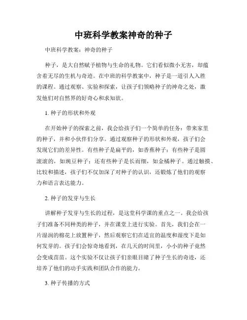 中班科学教案神奇的种子