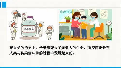 4.4免疫学的应用课件高二上学期生物人教版选择性必修(1)