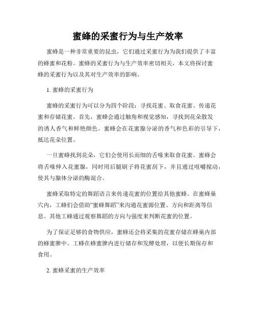 蜜蜂的采蜜行为与生产效率