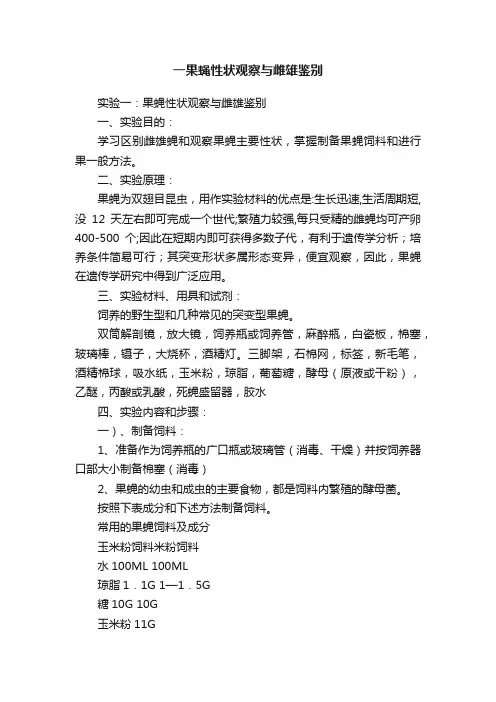 一果蝇性状观察与雌雄鉴别