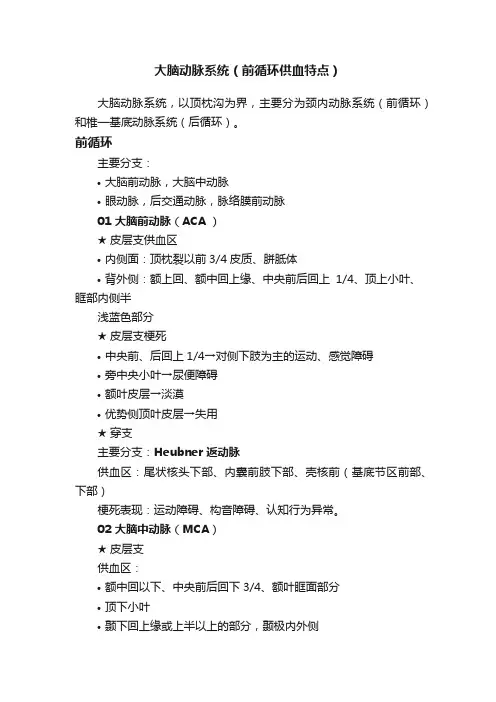 大脑动脉系统（前循环供血特点）
