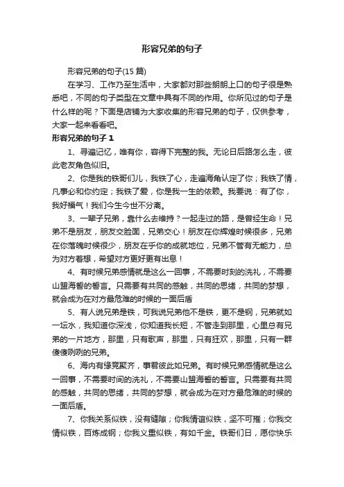 形容兄弟的句子