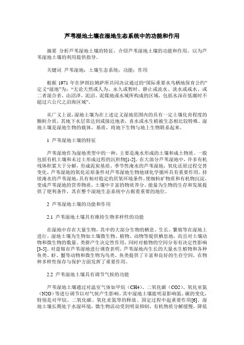 芦苇湿地土壤在湿地生态系统中的功能和作用