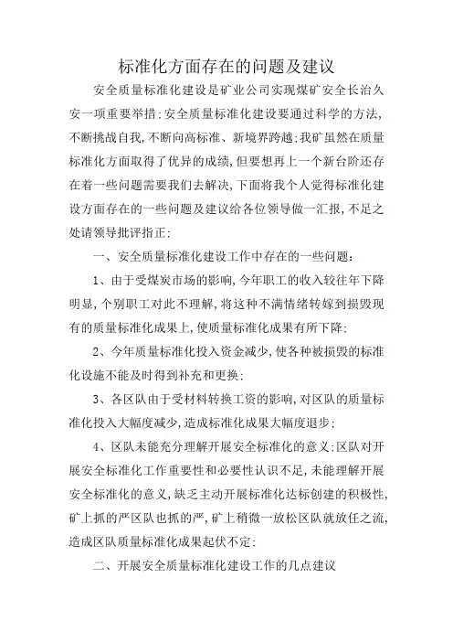 标准化方面存在的问题及建议