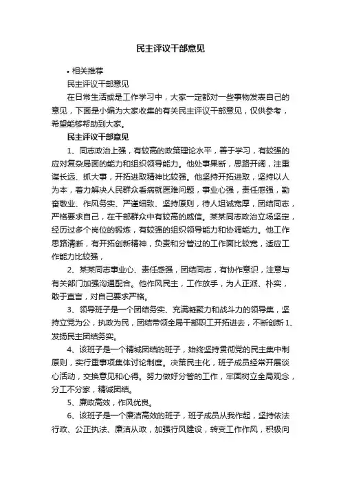 民主评议干部意见