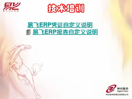 凭证-报表自定义