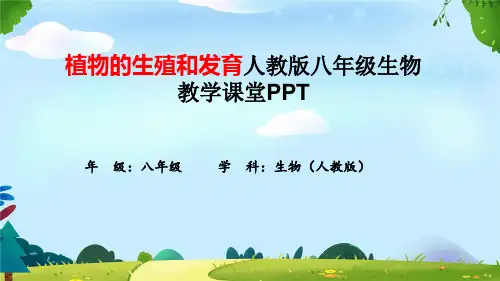 植物的生殖和发育人教版八年级生物教学课堂PPT