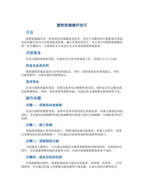 膀胱软镜操作技巧