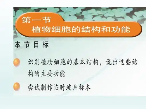 七年级上册生物课件_苏教版：2.3.1植物细胞结构和功能(共30张PPT)