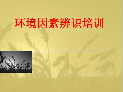 环境因素危险源辨识培训课件