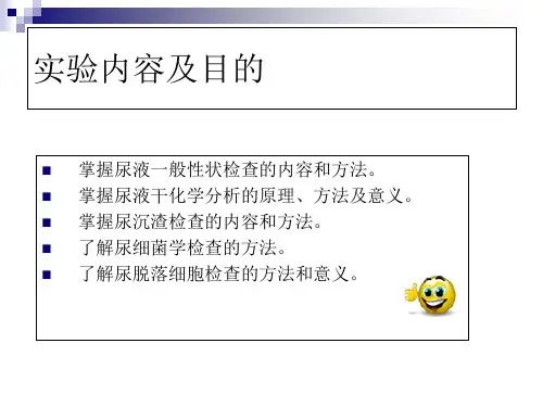 尿液分析精选课件