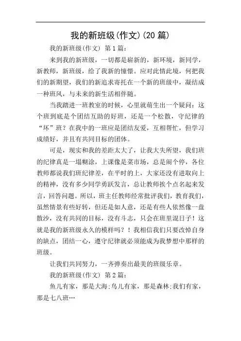我的新班级(作文)(20篇)