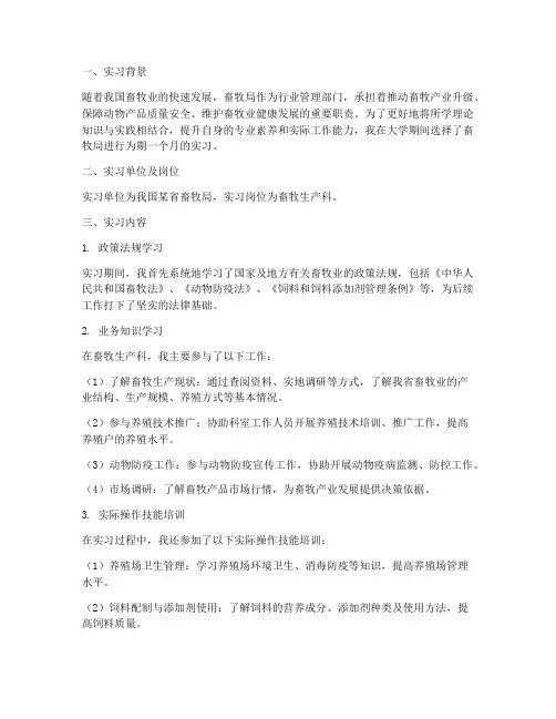 大学畜牧局实习报告