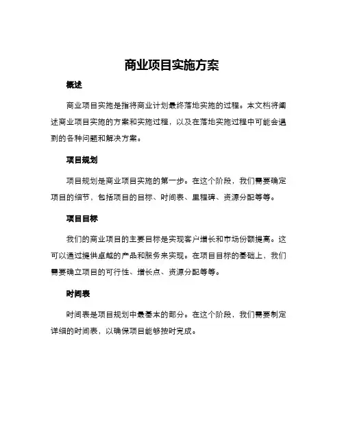 商业项目实施方案