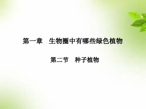 人教版七年级上册生物 3. 种子植物课件