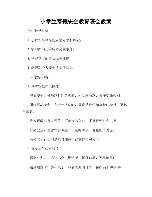 小学生寒假安全教育班会教案