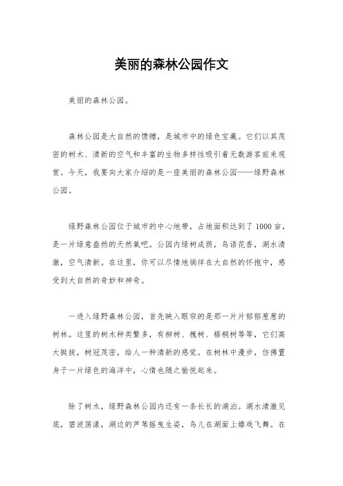 美丽的森林公园作文