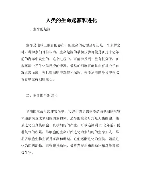 人类的生命起源和进化